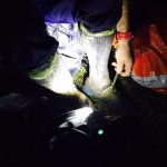 IMG-20160620-WA0029