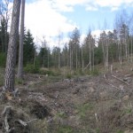 LČ garajā 2014 - foto no apvidus