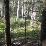 IMG_3040